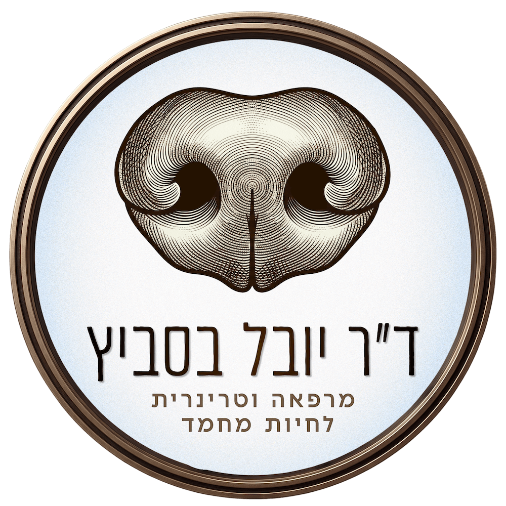 yuvalvet.co.il